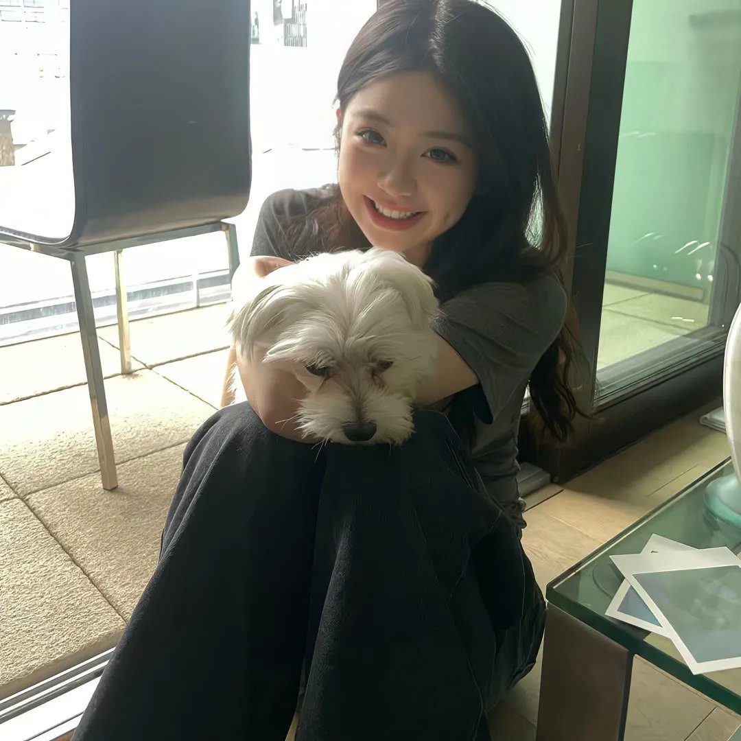 愤怒的公牛